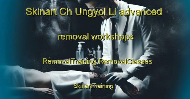 Skinart Ch Ungyol Li advanced removal workshops | #RemovalTraining #RemovalClasses #SkinartTraining-Korea