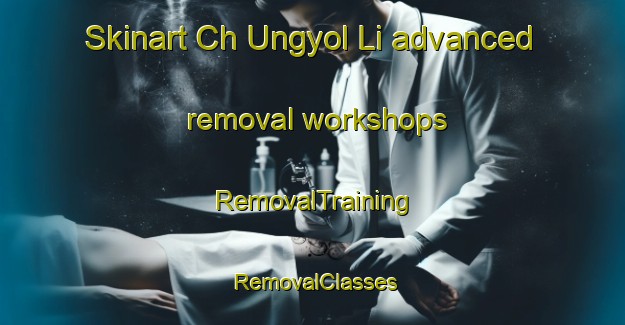 Skinart Ch Ungyol Li advanced removal workshops | RemovalTraining | RemovalClasses | SkinartTraining-Korea