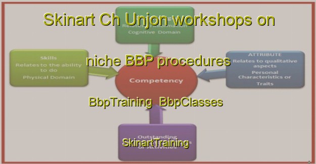 Skinart Ch Unjon workshops on niche BBP procedures | BbpTraining | BbpClasses | SkinartTraining-Korea