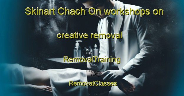 Skinart Chach On workshops on creative removal | RemovalTraining | RemovalClasses | SkinartTraining-Korea