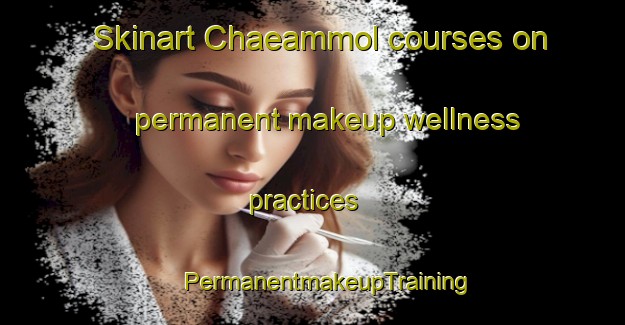 Skinart Chaeammol courses on permanent makeup wellness practices | #PermanentmakeupTraining #PermanentmakeupClasses #SkinartTraining-Korea