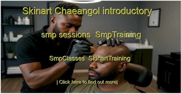 Skinart Chaeangol introductory smp sessions | SmpTraining | SmpClasses | SkinartTraining-Korea