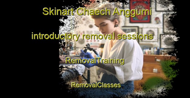 Skinart Chaech Anggumi introductory removal sessions | RemovalTraining | RemovalClasses | SkinartTraining-Korea