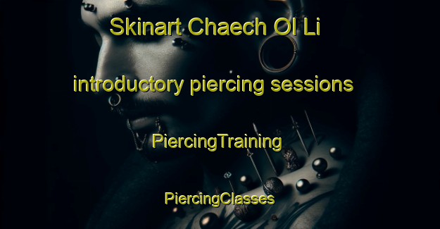 Skinart Chaech Ol Li introductory piercing sessions | #PiercingTraining #PiercingClasses #SkinartTraining-Korea