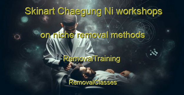 Skinart Chaegung Ni workshops on niche removal methods | RemovalTraining | RemovalClasses | SkinartTraining-Korea