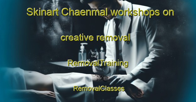 Skinart Chaenmal workshops on creative removal | RemovalTraining | RemovalClasses | SkinartTraining-Korea