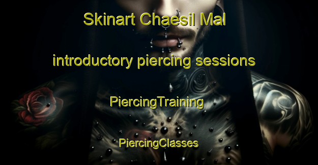 Skinart Chaesil Mal introductory piercing sessions | #PiercingTraining #PiercingClasses #SkinartTraining-Korea