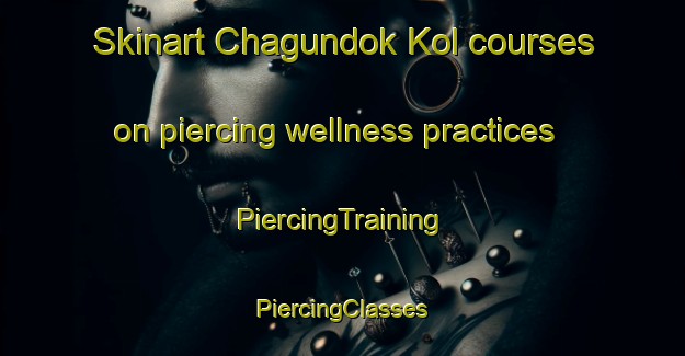 Skinart Chagundok Kol courses on piercing wellness practices | #PiercingTraining #PiercingClasses #SkinartTraining-Korea