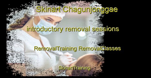 Skinart Chagunjonggae introductory removal sessions | #RemovalTraining #RemovalClasses #SkinartTraining-Korea