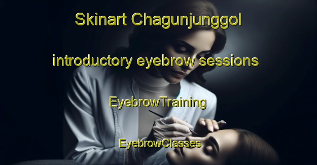 Skinart Chagunjunggol introductory eyebrow sessions | EyebrowTraining | EyebrowClasses | SkinartTraining-Korea