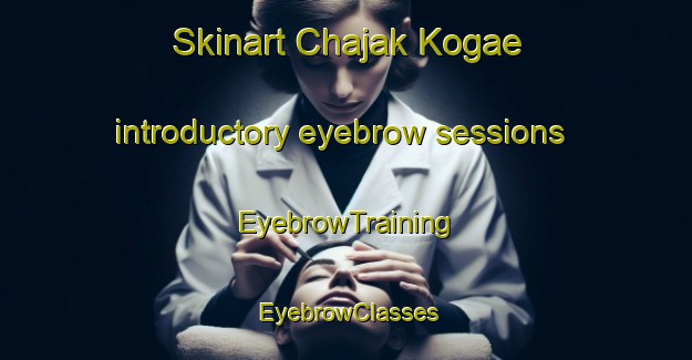 Skinart Chajak Kogae introductory eyebrow sessions | EyebrowTraining | EyebrowClasses | SkinartTraining-Korea