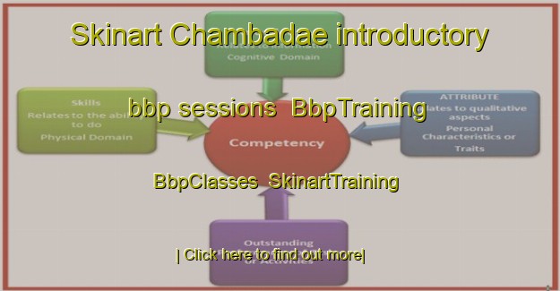 Skinart Chambadae introductory bbp sessions | BbpTraining | BbpClasses | SkinartTraining-Korea