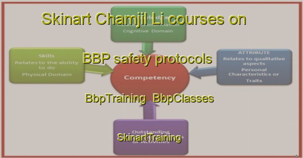 Skinart Chamjil Li courses on BBP safety protocols | BbpTraining | BbpClasses | SkinartTraining-Korea