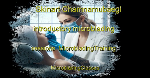 Skinart Chamnamubaegi introductory microblading sessions | #MicrobladingTraining #MicrobladingClasses #SkinartTraining-Korea