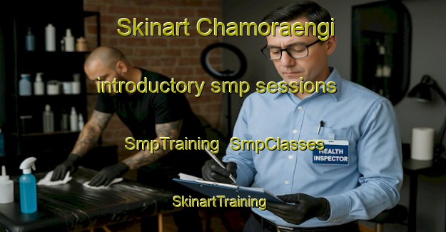 Skinart Chamoraengi introductory smp sessions | SmpTraining | SmpClasses | SkinartTraining-Korea