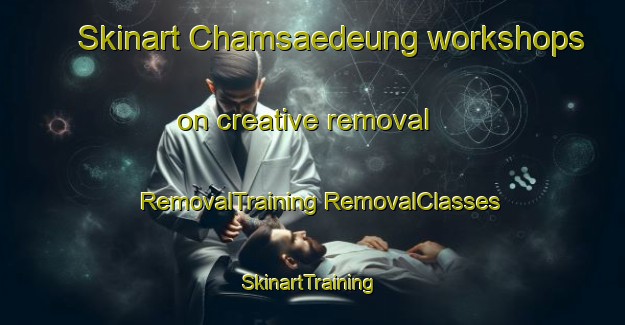 Skinart Chamsaedeung workshops on creative removal | #RemovalTraining #RemovalClasses #SkinartTraining-Korea