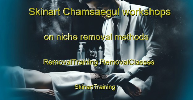 Skinart Chamsaegul workshops on niche removal methods | #RemovalTraining #RemovalClasses #SkinartTraining-Korea