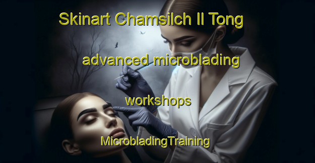 Skinart Chamsilch Il Tong advanced microblading workshops | #MicrobladingTraining #MicrobladingClasses #SkinartTraining-Korea