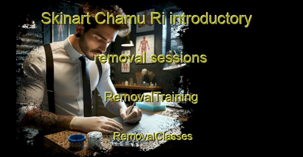 Skinart Chamu Ri introductory removal sessions | RemovalTraining | RemovalClasses | SkinartTraining-Korea