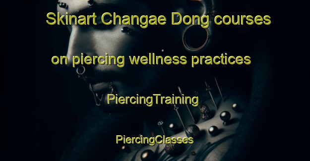 Skinart Changae Dong courses on piercing wellness practices | #PiercingTraining #PiercingClasses #SkinartTraining-Korea