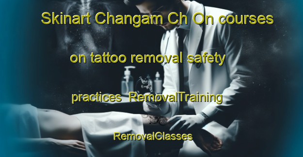 Skinart Changam Ch On courses on tattoo removal safety practices | RemovalTraining | RemovalClasses | SkinartTraining-Korea
