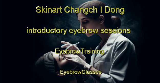 Skinart Changch I Dong introductory eyebrow sessions | EyebrowTraining | EyebrowClasses | SkinartTraining-Korea
