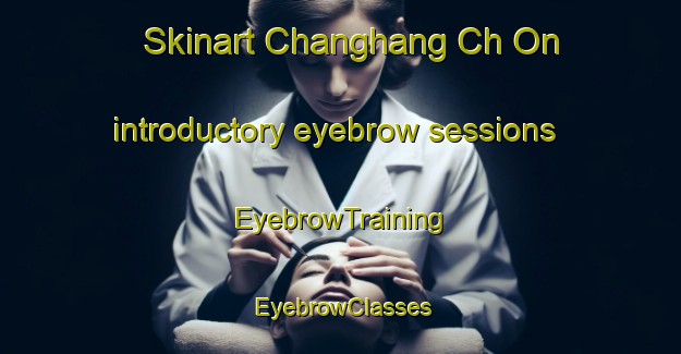 Skinart Changhang Ch On introductory eyebrow sessions | EyebrowTraining | EyebrowClasses | SkinartTraining-Korea