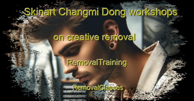 Skinart Changmi Dong workshops on creative removal | RemovalTraining | RemovalClasses | SkinartTraining-Korea