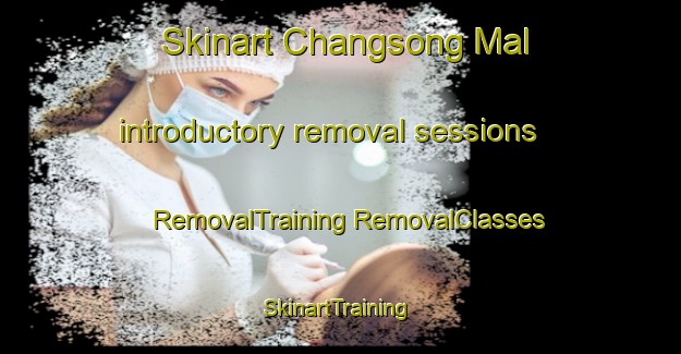 Skinart Changsong Mal introductory removal sessions | #RemovalTraining #RemovalClasses #SkinartTraining-Korea