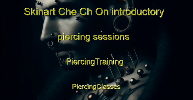 Skinart Che Ch On introductory piercing sessions | #PiercingTraining #PiercingClasses #SkinartTraining-Korea