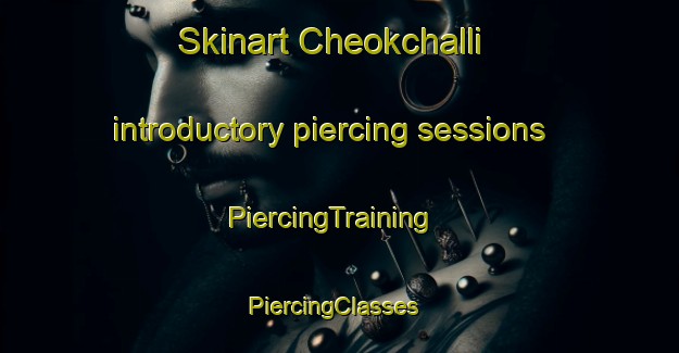 Skinart Cheokchalli introductory piercing sessions | PiercingTraining | PiercingClasses | SkinartTraining-Korea