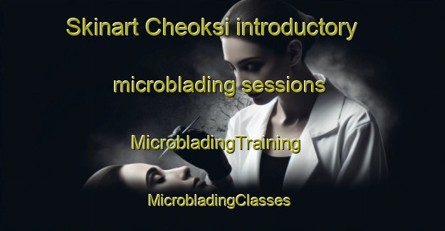 Skinart Cheoksi introductory microblading sessions | MicrobladingTraining | MicrobladingClasses | SkinartTraining-Korea