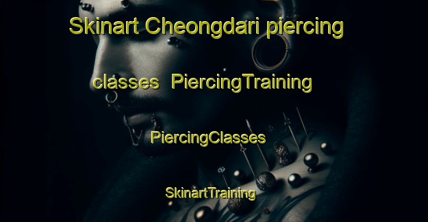 Skinart Cheongdari piercing classes | PiercingTraining | PiercingClasses | SkinartTraining-Korea