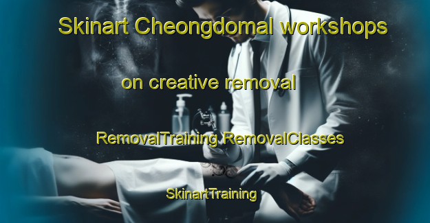 Skinart Cheongdomal workshops on creative removal | #RemovalTraining #RemovalClasses #SkinartTraining-Korea