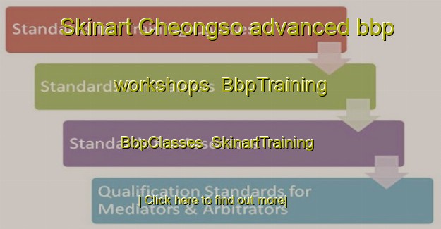 Skinart Cheongso advanced bbp workshops | BbpTraining | BbpClasses | SkinartTraining-Korea