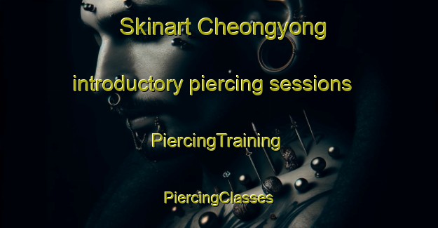 Skinart Cheongyong introductory piercing sessions | #PiercingTraining #PiercingClasses #SkinartTraining-Korea