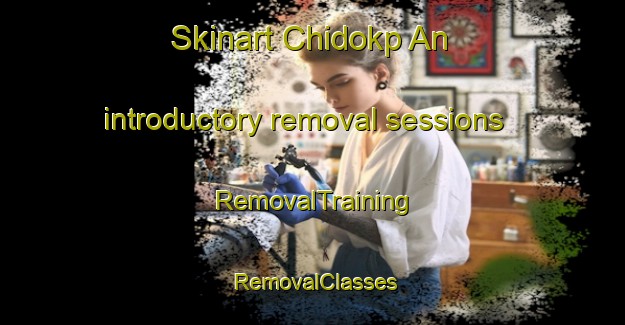 Skinart Chidokp An introductory removal sessions | RemovalTraining | RemovalClasses | SkinartTraining-Korea