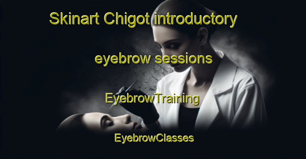 Skinart Chigot introductory eyebrow sessions | EyebrowTraining | EyebrowClasses | SkinartTraining-Korea