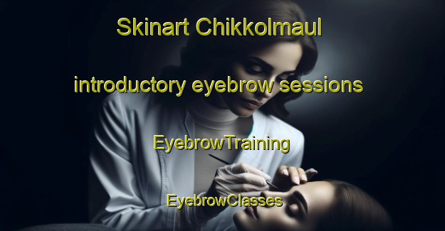 Skinart Chikkolmaul introductory eyebrow sessions | EyebrowTraining | EyebrowClasses | SkinartTraining-Korea