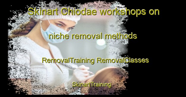 Skinart Chiodae workshops on niche removal methods | #RemovalTraining #RemovalClasses #SkinartTraining-Korea