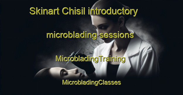 Skinart Chisil introductory microblading sessions | #MicrobladingTraining #MicrobladingClasses #SkinartTraining-Korea