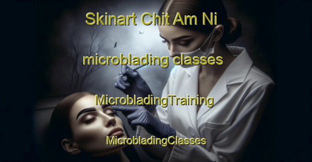 Skinart Chit Am Ni microblading classes | #MicrobladingTraining #MicrobladingClasses #SkinartTraining-Korea