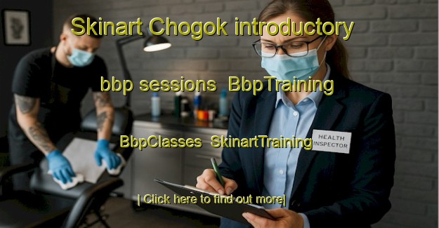 Skinart Chogok introductory bbp sessions | BbpTraining | BbpClasses | SkinartTraining-Korea