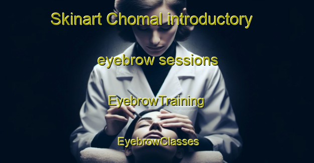 Skinart Chomal introductory eyebrow sessions | EyebrowTraining | EyebrowClasses | SkinartTraining-Korea
