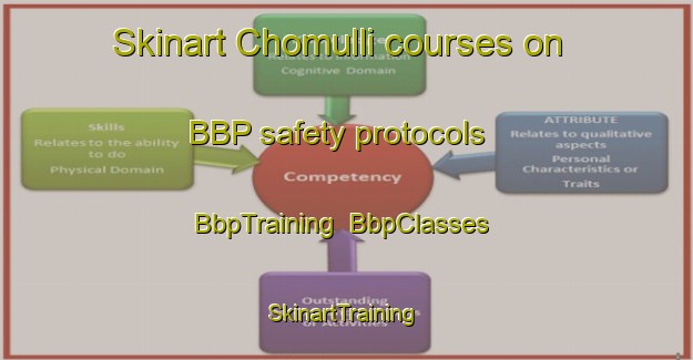 Skinart Chomulli courses on BBP safety protocols | BbpTraining | BbpClasses | SkinartTraining-Korea