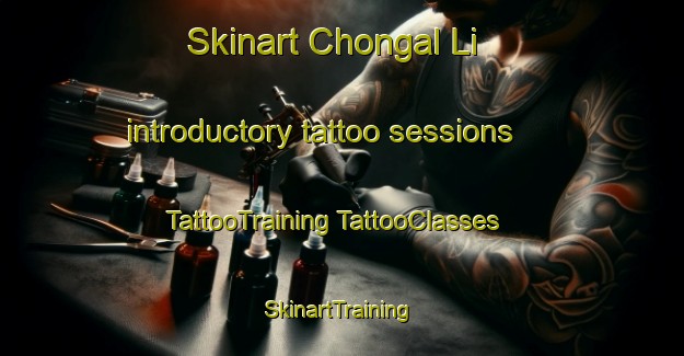 Skinart Chongal Li introductory tattoo sessions | #TattooTraining #TattooClasses #SkinartTraining-Korea