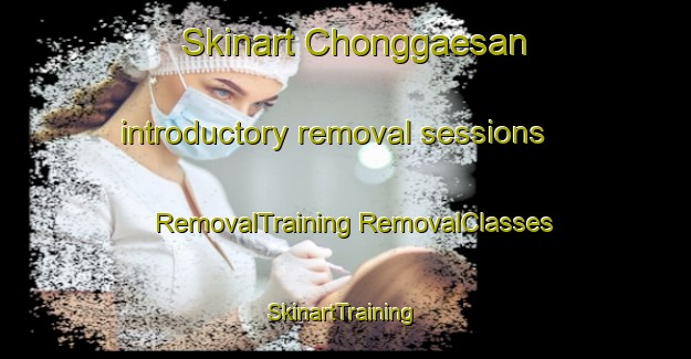 Skinart Chonggaesan introductory removal sessions | #RemovalTraining #RemovalClasses #SkinartTraining-Korea