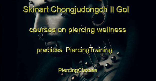 Skinart Chongjudongch Il Gol courses on piercing wellness practices | #PiercingTraining #PiercingClasses #SkinartTraining-Korea