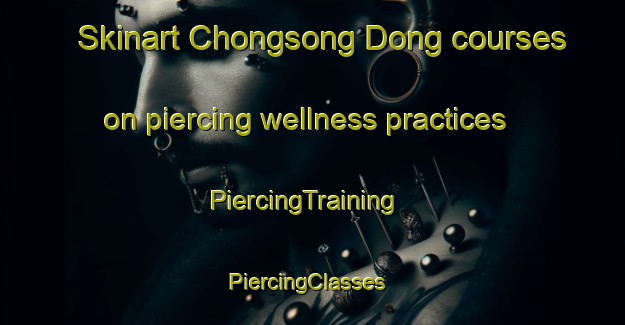 Skinart Chongsong Dong courses on piercing wellness practices | PiercingTraining | PiercingClasses | SkinartTraining-Korea