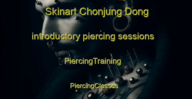 Skinart Chonjung Dong introductory piercing sessions | PiercingTraining | PiercingClasses | SkinartTraining-Korea